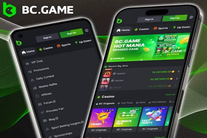 BC.Game Login A Comprehensive Guide 836722083 BC.Game Login A Comprehensive Guide 836722083